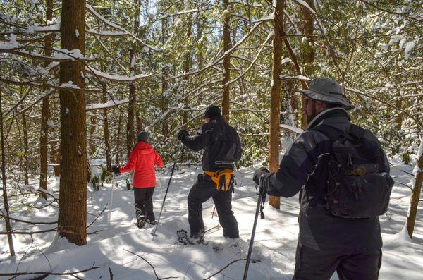 Snowshoeing is a great way to get active in the winter, plus to see nature in a different way...