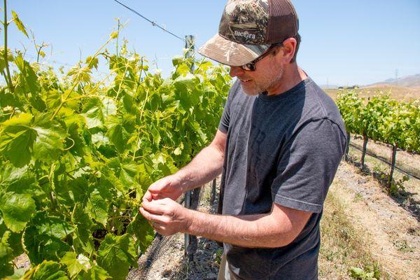 Winemaker Nick Elliott