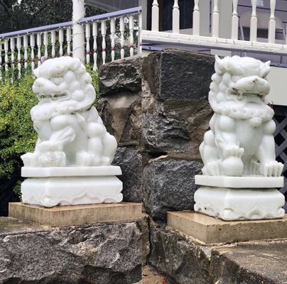 Temple Lions (Fu Dogs) 'protecting' the entrance of the Chinese Acupuncture & Herbology Clinic in Asheville, N.C.