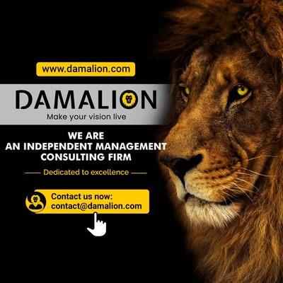 Damalion supports family entrepreneurs to access  planning services in Luxembourg and internationally.