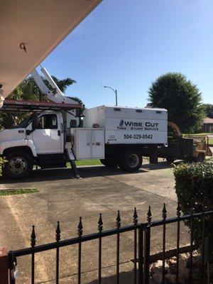 This is the awesome equipment that dies the work you need done. The "T-Rex" of tree cutting and grinding of tree stumps. Whoa deer nelly!