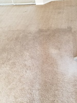 We cleaned with our "Water" package at the top of the photo