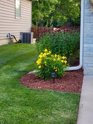 Lawn before chemical burn spots mistake