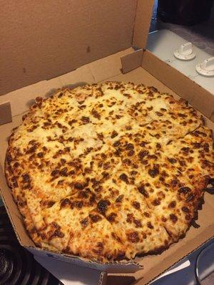 Double cheese pizza