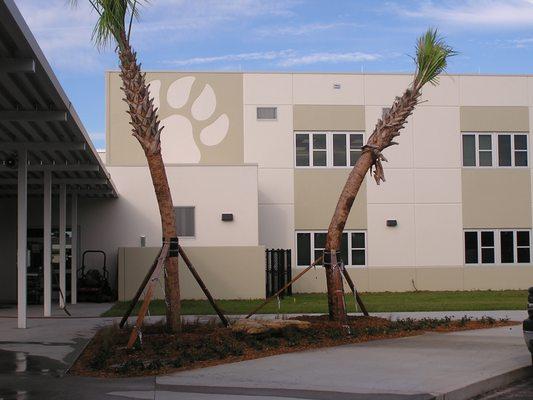 Volusia School board let us be creative with sustainable material