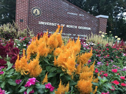 University of North Georgia - Dahlonega Campus