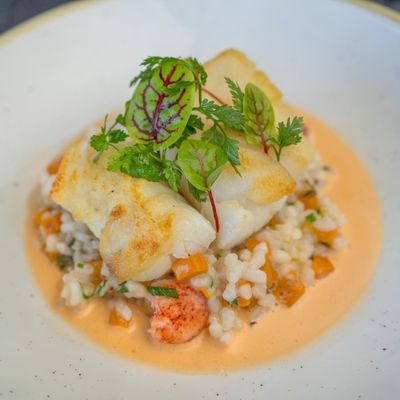 Pan Roasted Cod, Lobster & Squash Risotto