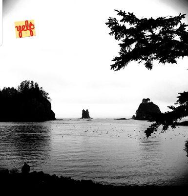 I love the OP's Energy #yelpjax #OlympicPeninsula #PNW #EyeShotImageArt Sept 17