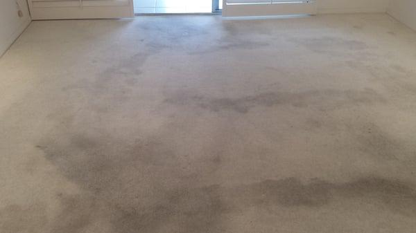 Dirty berber carpet