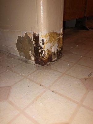 Bathroom wall ripped up