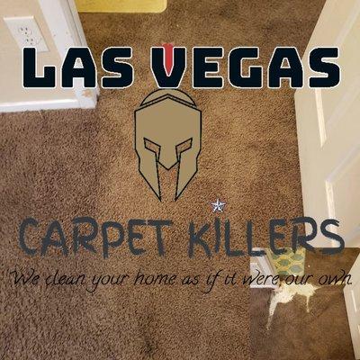 Carpet cleaning services