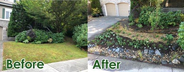 Before and After of a front lawn, transformed to a native and pollinator friendly garden.