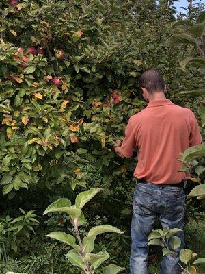 Hawk Hill Orchard