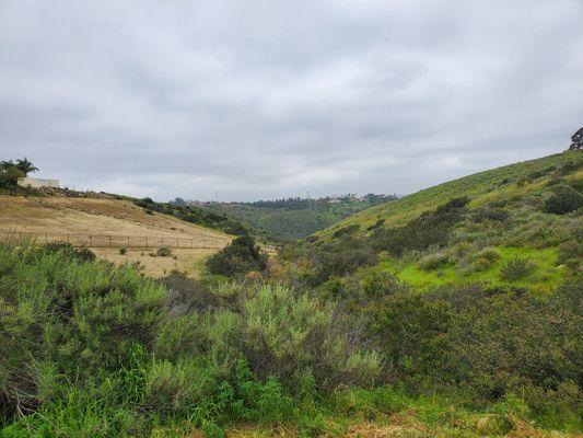 Lusardi Creek County Preserve