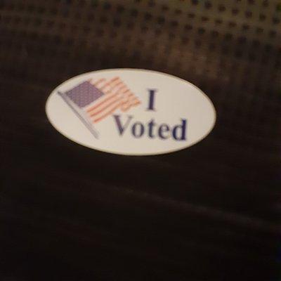 I Voted Today