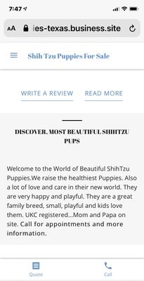 Shih Tzu Puppies For Sale