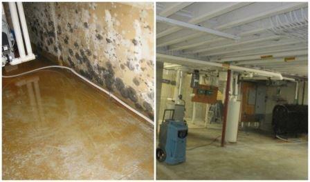 Before & After of a Basement due to Mold.