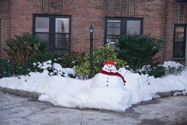 Winter in Park Terrace Gardens