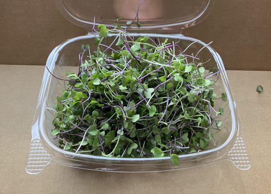 Mild Salad Mix microgreens