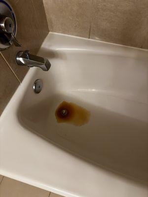 This is the rusted water that came out of the faucet when my daughter went to take a bath.