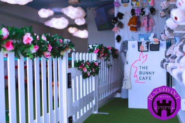 Capturing beautiful moments at the bunny Cafe in Woodland Hills.