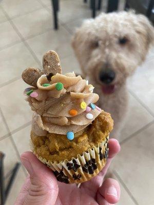 Pupcake