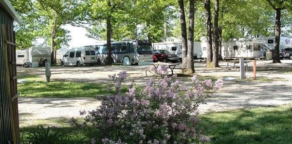 A gorgeous day in the RV park!