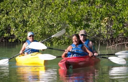 Key West Guided Kayaking Tours