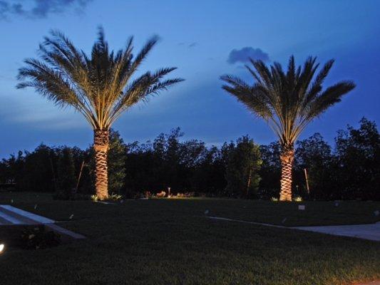 We provide proper lighting for small and tall Palm trees.