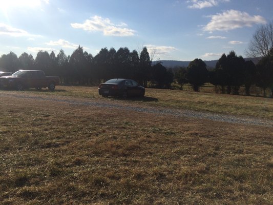 Plenty of grass parking.