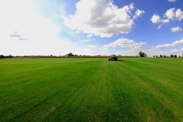 Sporting Valley Turf Farms