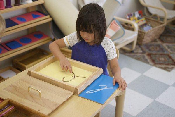 Language Arts has multiple materials lead to the child's developing fine motor control, as preparation for handwriting.