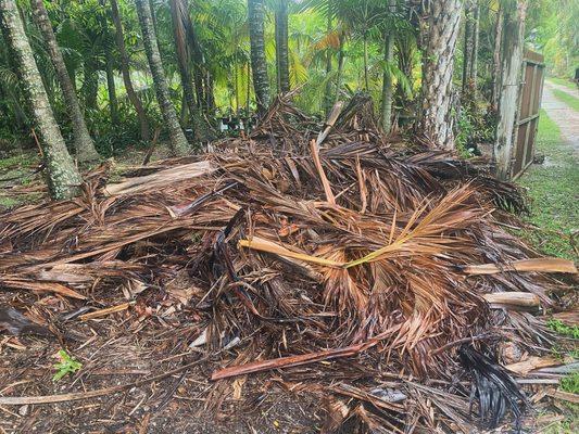 Yard Debris