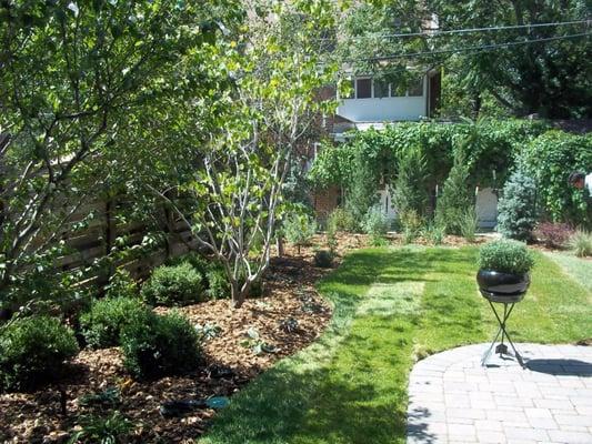 Denver customer wanted a garden like back yard. We revamped the entire area with patio, plants and sod