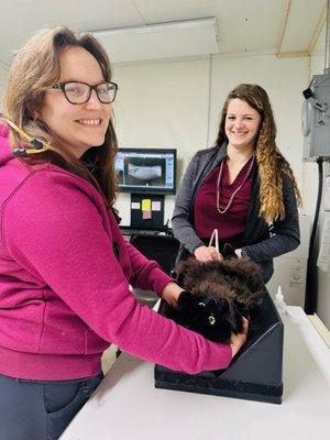 Doctor, Tech, and Cat