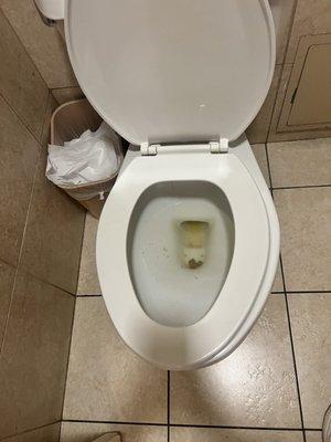 There was feces still in the toilet when we checked in.