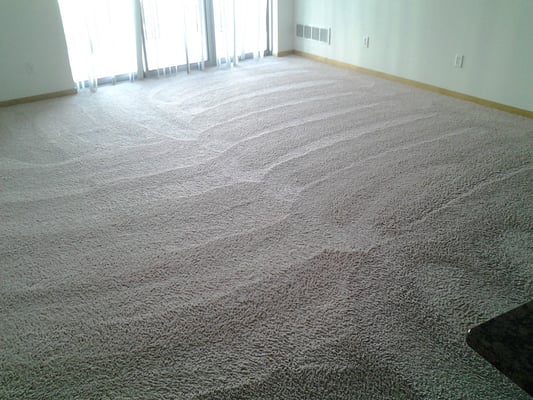 Carpet that was cleaned using our low moisture method. It was dry in 20 minutes.