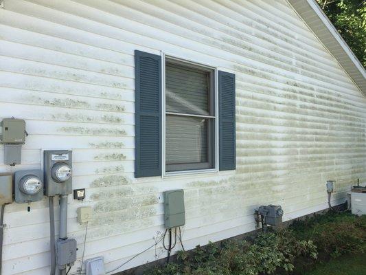 Vinyl Siding...before