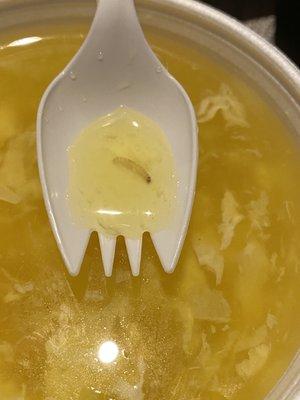 Egg Drop Soup had a maggot!!!!! Absolutely disgusting! Please don't order from here, I threw away everything I ordered.