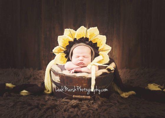 Newborn Photographer. Experienced, insured, and licensed.