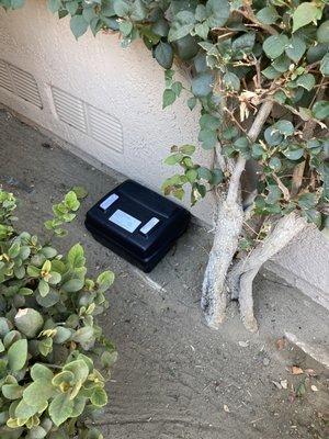 One rat trap that was placed after we delivered the last caught rat to the association office.