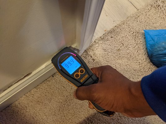 Moisture meter detecting a drenched wall that needs to be removed.