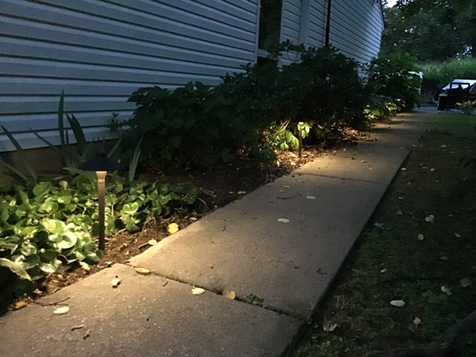 Installed landscape lighting