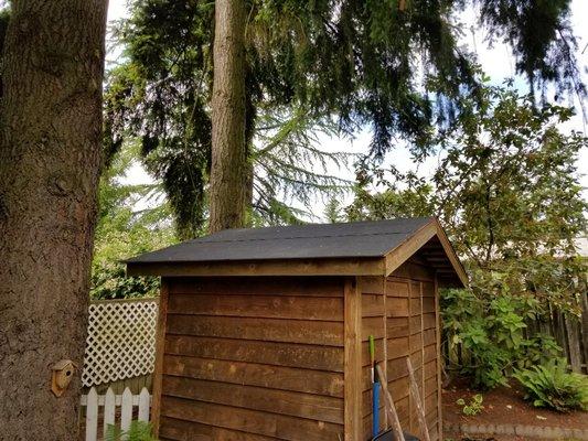 Installed a new roof on a utility shed