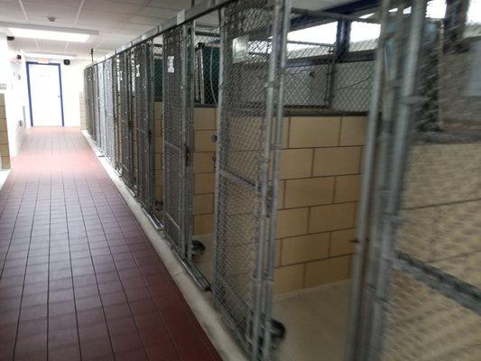 A whole section of empty Kennels two sides of kennels that are empty I'm just showing one side right now