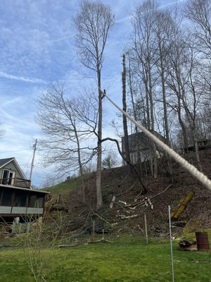 Taking the top of this tree out while my ground men follow very important instructions.