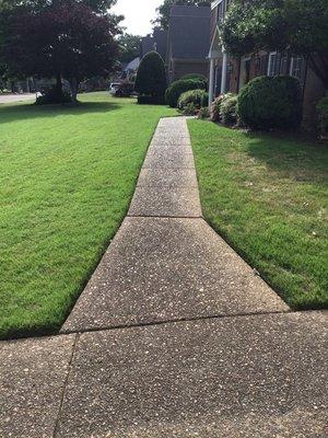 A Before picture of a walkway cleaning