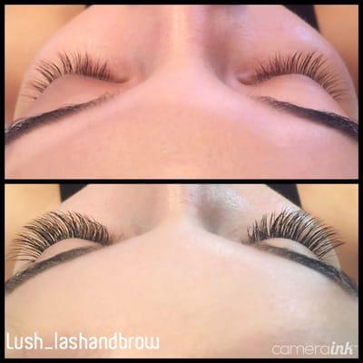 Standard lashes