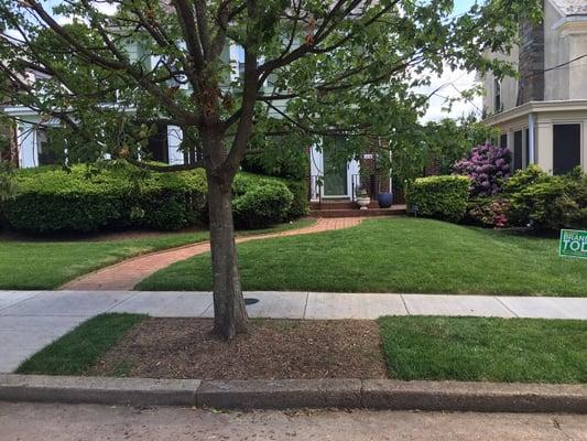 Basic mowing service includes: edging, trim and removal of debris from hardscape.