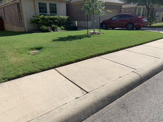 Fertilized, weed treated and freshly cut.